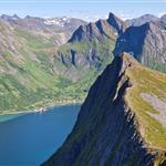Alp