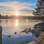 Ancha