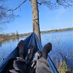 Danieltändstål