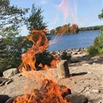 Fireheart