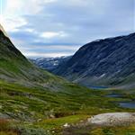 Fredrik0550
