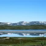 Fredrik0550