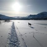 FridaLövgren
