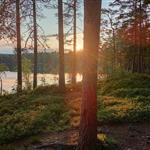 FridaLövgren