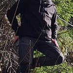 Höga Kusten Vandraren