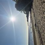 Halland68