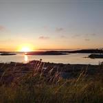 Hockeyhanna82