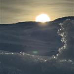 Jonas Eriksson Rando