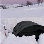 Jonas Eriksson Rando