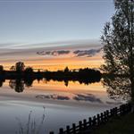 KdMilla