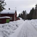 MagnusV