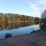 Nallebjörn