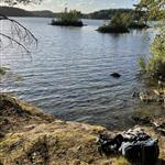 Naturlig