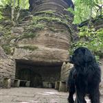 Newfie-mum