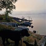 NinaD