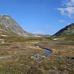 Risån