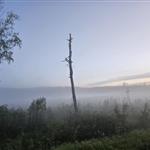 Risån