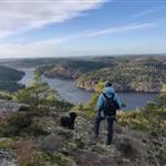 Skogsrået
