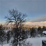 Skogstjejen