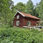 Skogstjejen