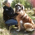 Susanne70