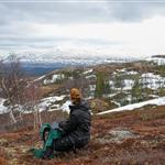 Thomasivildmarken